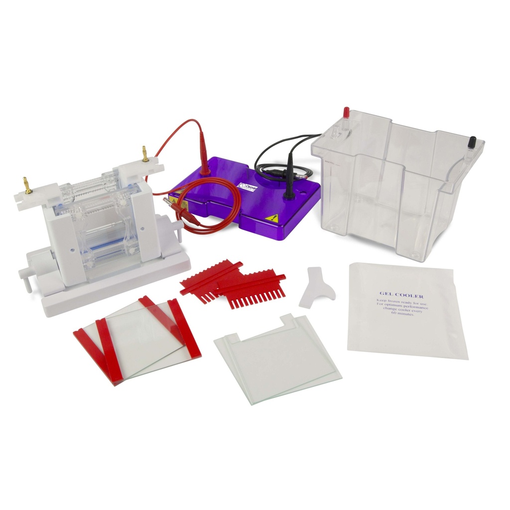  Mini Dual Vertical Gel Electrophoresis Tank 10 x 10cm. Complete with 2 Sets of Glass Plates, 1mm Thick Bonded Spacers, 2 x 12 Sample, 1mm Thick Combs Including Caster. CLAMP VERSION