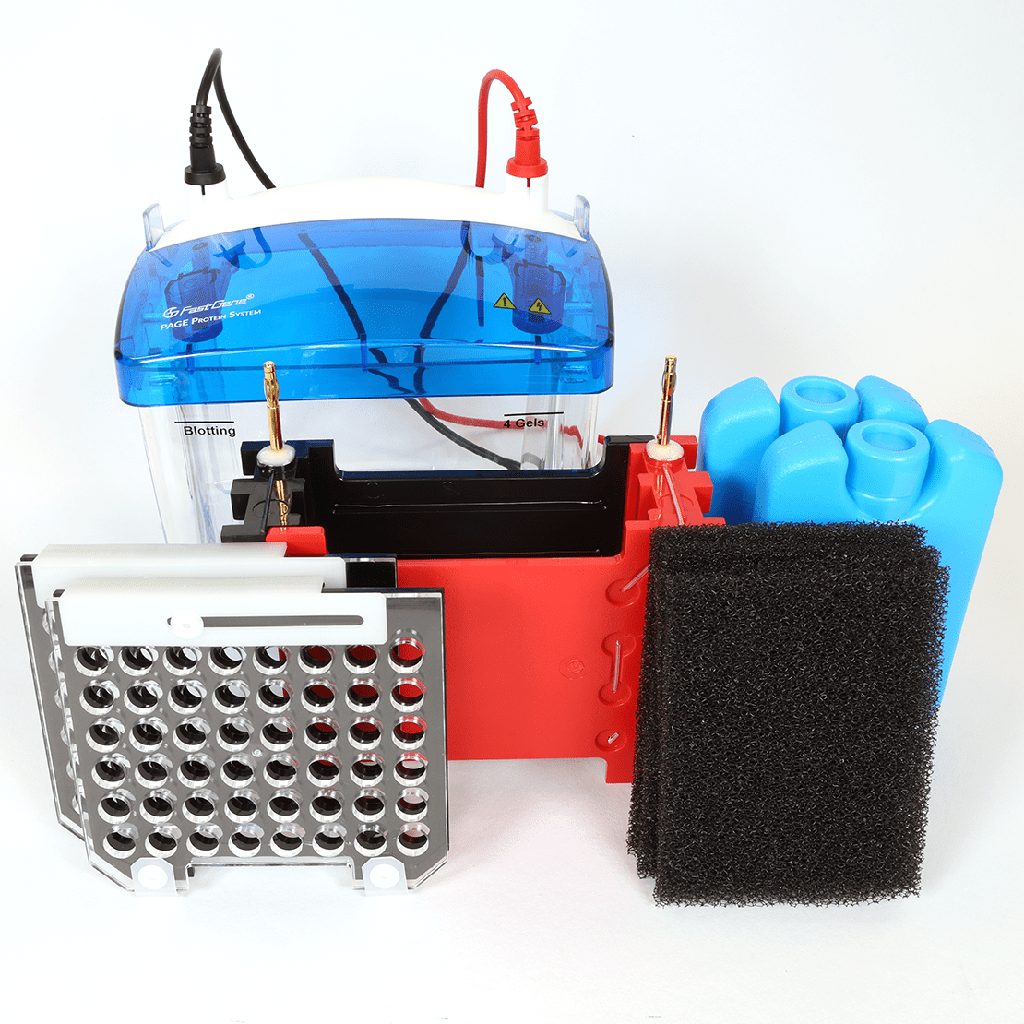  Western Blot Complete System