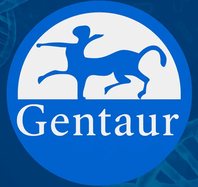 Tenascin-C Large (FN III-B) ELISA - 96 Determinations