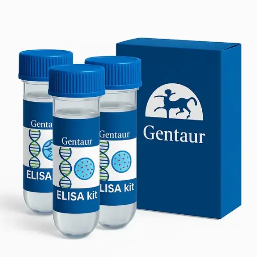 [IB49698] VEGF-A (Mouse) ELISA - 96 Determinations