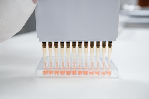 [IB79289] Yersinia enterocolitica IgA ELISA - 96 Determinations